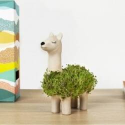 Gift Republic Planter Llama With Seeds - Diverse