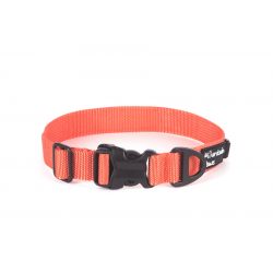 Mountain Paws Extra Tough Dog Collar, Medium, Orange - Hundeudstyr