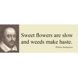 Customworks Magnet/sweet Flowers Are - Magnet