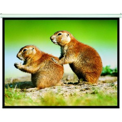 Manual Projection Screen 16:9 77 1.72x0,97m
