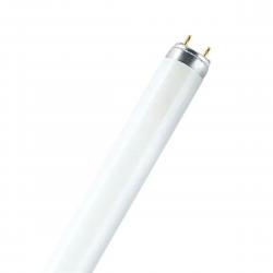 Ledvance Fluorescent Tube 15w/840 - Peg - Pære