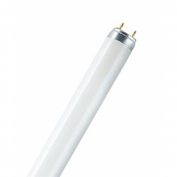 Ledvance T8 Flourescent Lamp 36w/840 ( C) - Peg - Pære