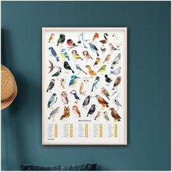Luckies Of London Poster Garden Birds - Plakat