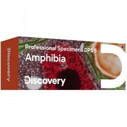 Discovery Prof Specimens Dps 5. Amphibia. - Tilbehør til mikroskop
