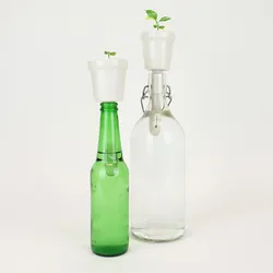 Gift Republic Botanical Bottles Bonsai - Plante Gift Republic Botanical Bottles Bonsai - Plante